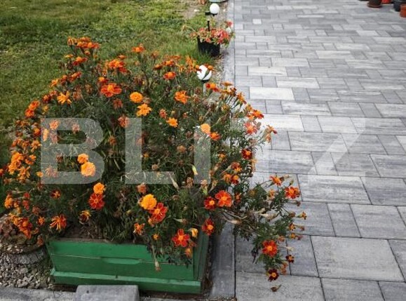 Casa de vânzare 5 camere Vama Buzaului - 207557CV | BLITZ Brașov | Poza10