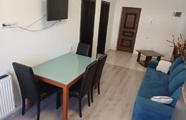 Studio spațios cu loc de parcare în Subcetate City