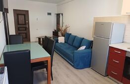 Studio spațios cu loc de parcare în Subcetate City