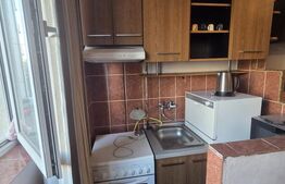 Garsoniera de vanzare, 22 mp, zona Dambul Rotund
