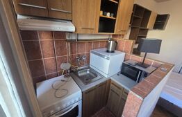 Garsoniera de vanzare, 22 mp, zona Dambul Rotund
