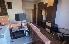 Garsoniera de vanzare, 22 mp, zona Dambul Rotund