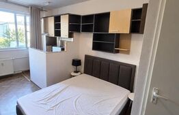 Garsoniera de vanzare, 22 mp, zona Dambul Rotund