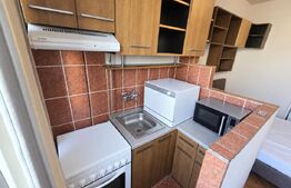 Garsoniera de vanzare, 22 mp, zona Dambul Rotund