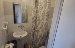 Garsoniera de vanzare, 22 mp, zona Dambul Rotund