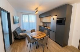 Apartament 3 camere, parcare, pet-friendly, zona Pod Ira