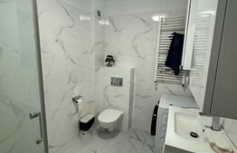 Apartament o camera, 44 mp, zona Tauti