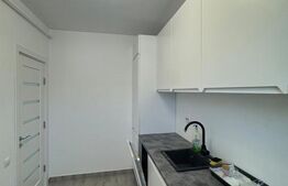 Apartament o camera, 44 mp, zona Tauti