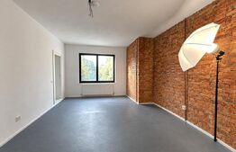 Casă renovată, 140 mp utili, 694 mp teren, Grigorescu