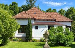 Casă renovată, 140 mp utili, 694 mp teren, Grigorescu