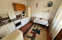 Casa cu 1 dormitor, 45 mp, zona Mărăști