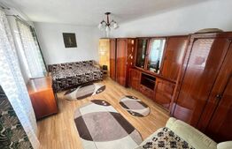 Casa cu 1 dormitor, 45 mp, zona Mărăști