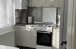 Apartament 1 camera, 32 mp, zona Muzeul Apei