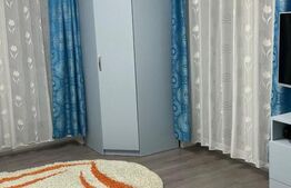 Apartament 1 camera, 32 mp, zona Muzeul Apei
