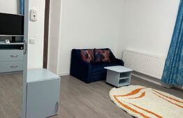 Apartament 1 camera, 32 mp, zona Muzeul Apei