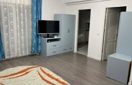 Apartament 1 camera, 32 mp, zona Muzeul Apei