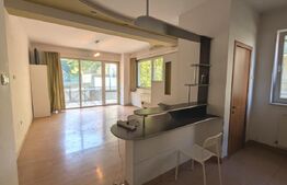 Apartament 2 camere, 59 mp, terasa 24 mp, zona Buna ziua / Andrei Muresanu