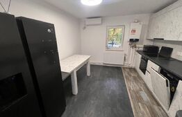 Apartament 3 camere , decomandate , pet friendly , zona Plopilor