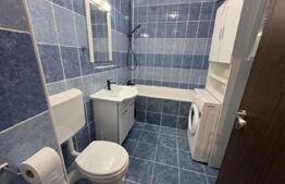 Apartament 1 camere, 32 mp, zona Eroilor 