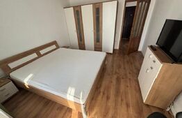 Apartament 2 camere, 50  mp, pet friendly, zona Tineretului