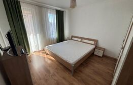Apartament 2 camere, 50  mp, pet friendly, zona Tineretului