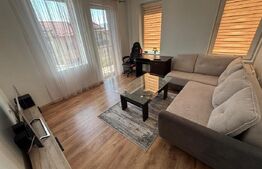 Apartament 2 camere, 50  mp, pet friendly, zona Tineretului
