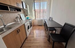 Apartament 2 camere, 50  mp, pet friendly, zona Tineretului