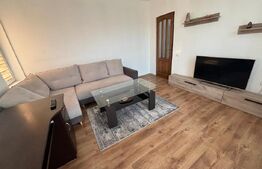 Apartament 2 camere, 50  mp, pet friendly, zona Tineretului