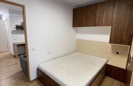 Apartament 2 cam, complet renovat și mobilat, etaj 1 – Gheorgheni