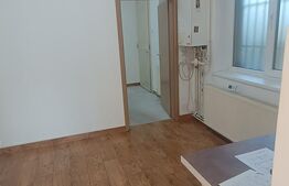 Spațiu comercial de închiriat, 110 mp, zona Aurel Vlaicuu