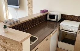 Apartament cu 2 camere, 40 mp, pet friendly, zona Între Lacuri