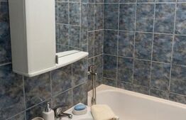 Apartament cu 2 camere, 40 mp, pet friendly, zona Între Lacuri