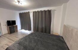 Apartament 2 camere, 55 mp, pet friendly, zona Vivo