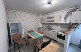 Apartament 2 camere, 55 mp, pet friendly, zona Vivo
