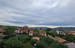 Complex hotelier, 1300mp, teren 700mp, Localitatea Cornesti, Judetul Cluj