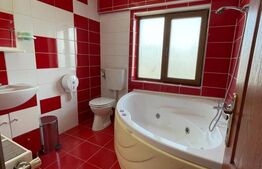 Complex hotelier, 1300 mp, teren 700 mp, zona Cornesti