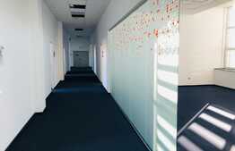 Spatiu 750 mp , open space si compartimentari , finisat clasa A