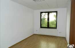 Spatiu de birouri 140 mp cu 2 terase, finisaje noi