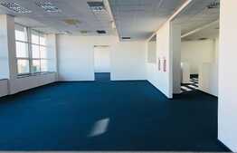 Spatiu 450 de mp, la un pret ideal 