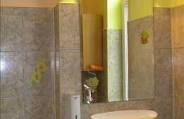 Spatiu ideal pentru sediu de firma in Andrei Muresanu!