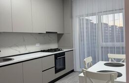 Apartament de închiriat 2 camere Gruia - 208322AI | BLITZ Cluj-Napoca | Poza1