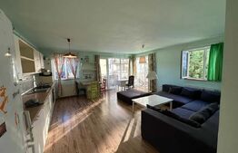 Apartament cu 2 camere, 60 mp, zona Florilor