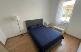Căsuță de închiriat, 50 mp, zona Gruia