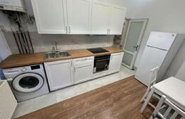 Căsuță de închiriat în Gruia | 2 camere | Curte proprie de 100 mp