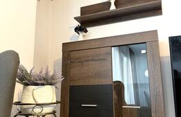 Apartament cu 2 camere, 70 mp, parcare, zona Marasti, PET  friendly