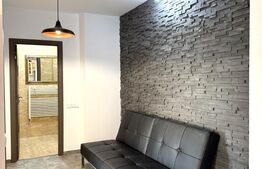 Apartament cu 2 camere, 70 mp, parcare, zona Marasti, PET  friendly