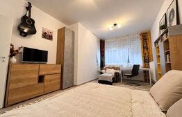 Garsoniera spațioasă de 40 mp, semi-mobilata în Avantgarden Bartolomeu 