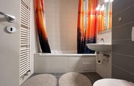 Apartament cu 1 cameră, 40 mp, zona Bartolomeu