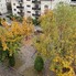 Apartament de vânzare 3 camere Rasnov - 208343AV - Poza 1 din 16 | BLITZ Brașov | Poza15