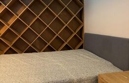 Duplex 5 camere, 155 mp, zona Europa